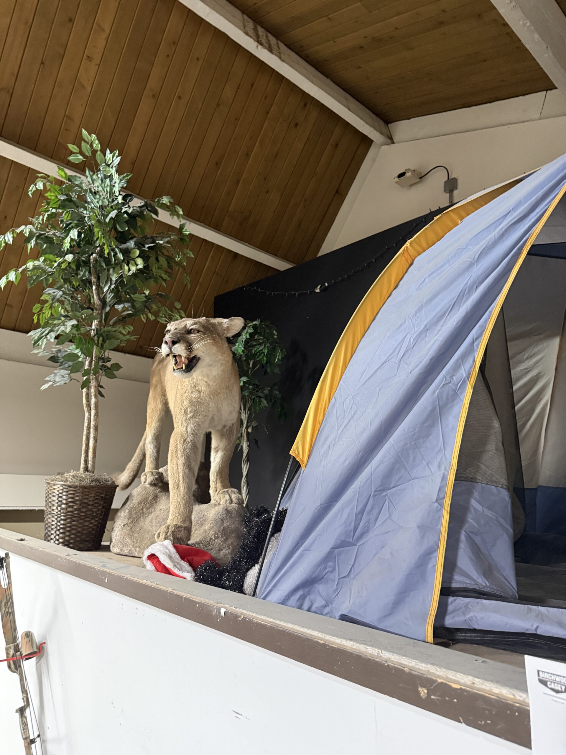 Camping and hiking gear at The Surplus Store