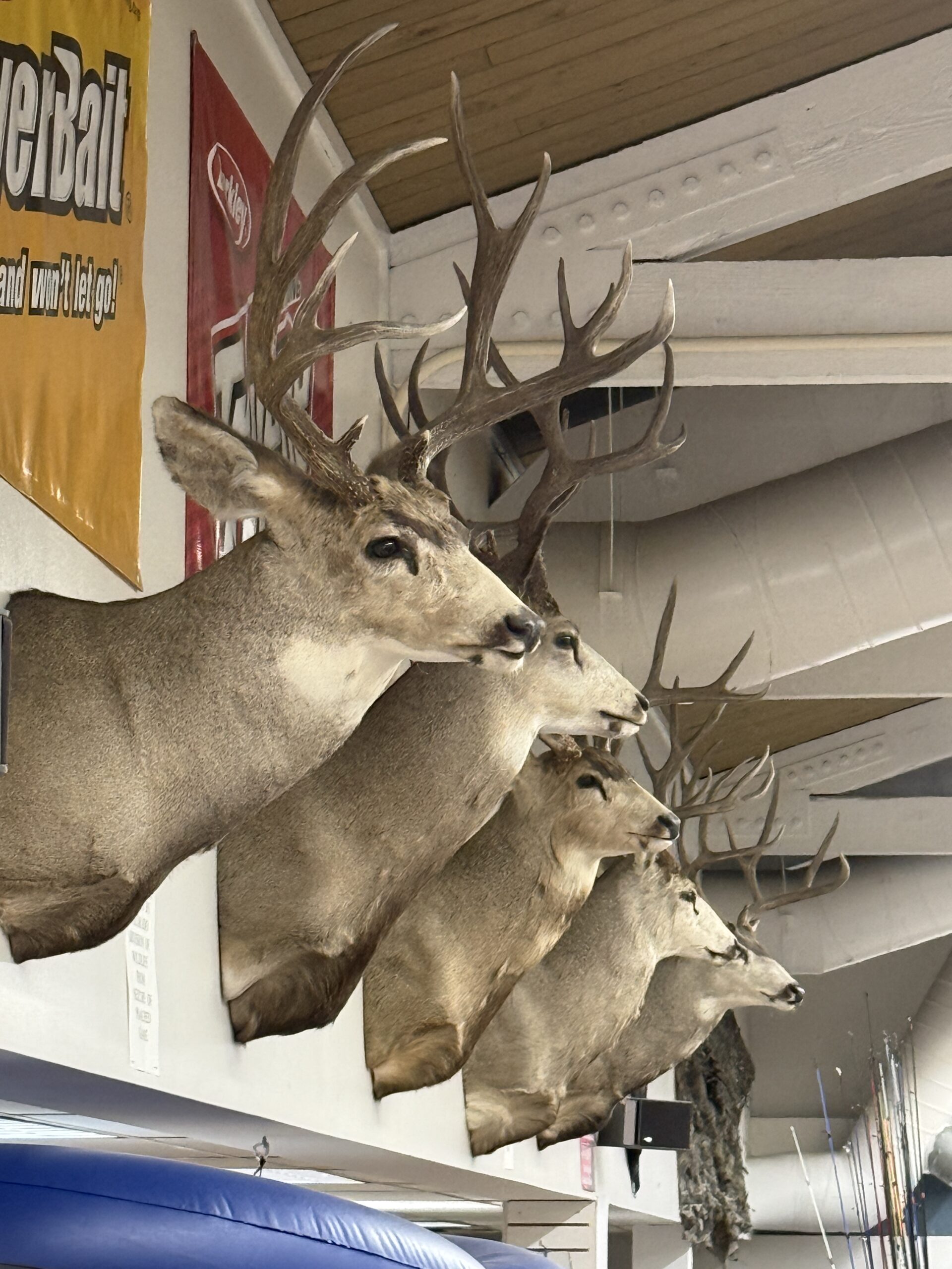 Hunting and shooting gear at The Surplus Store